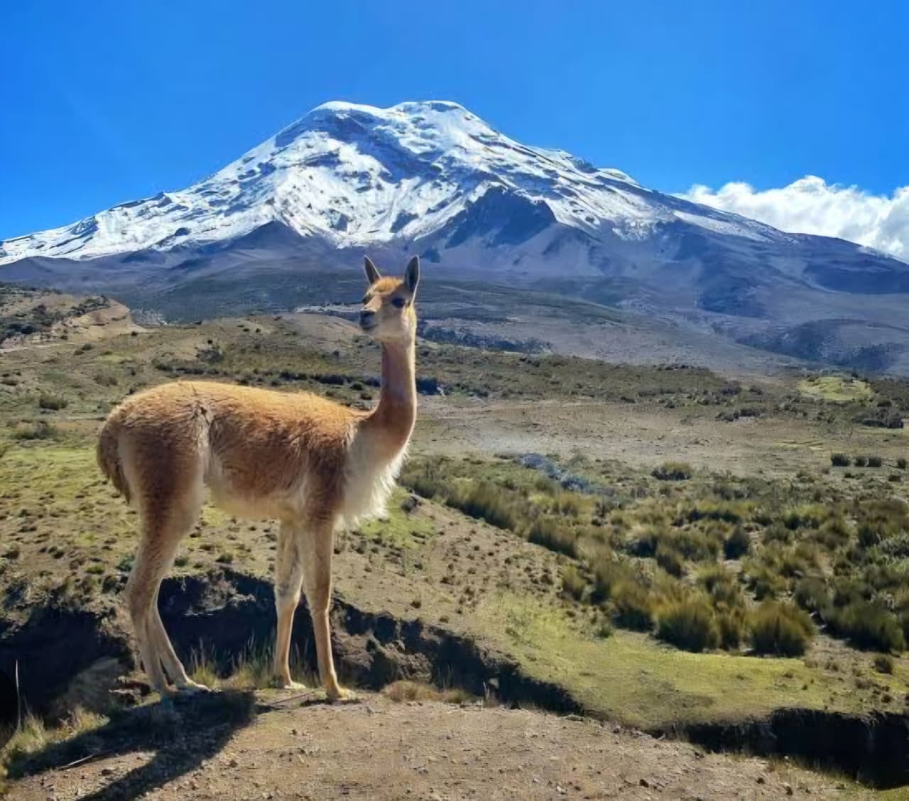 Ascenciones en los andes - ecuador – sudamerica - 4