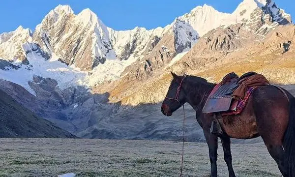 Trekking Huayhuash y Tours en Iquitos - 5
