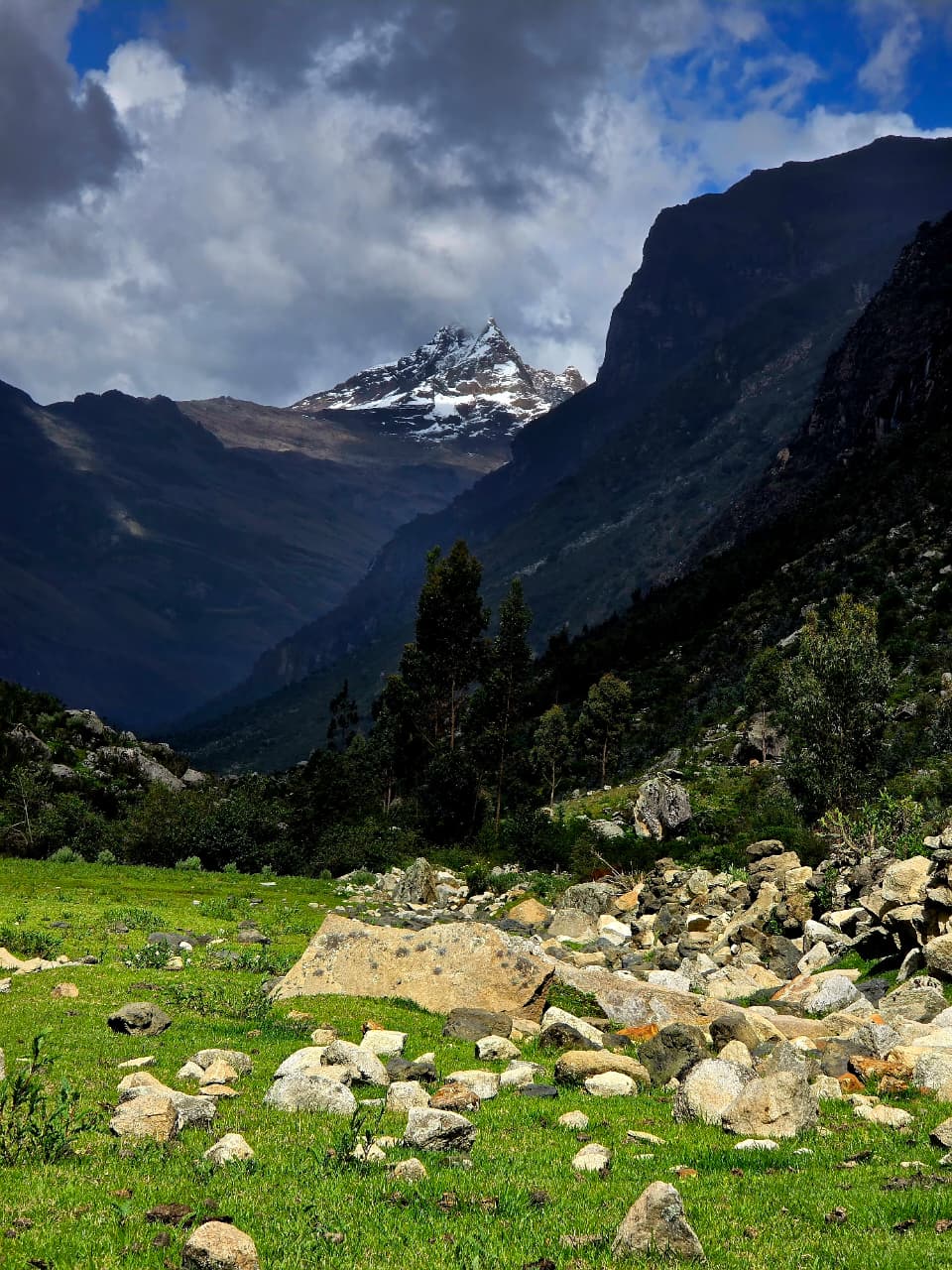 Trekking  en Los Cedros y Alpamayo en la Cordillera Blanca - 7