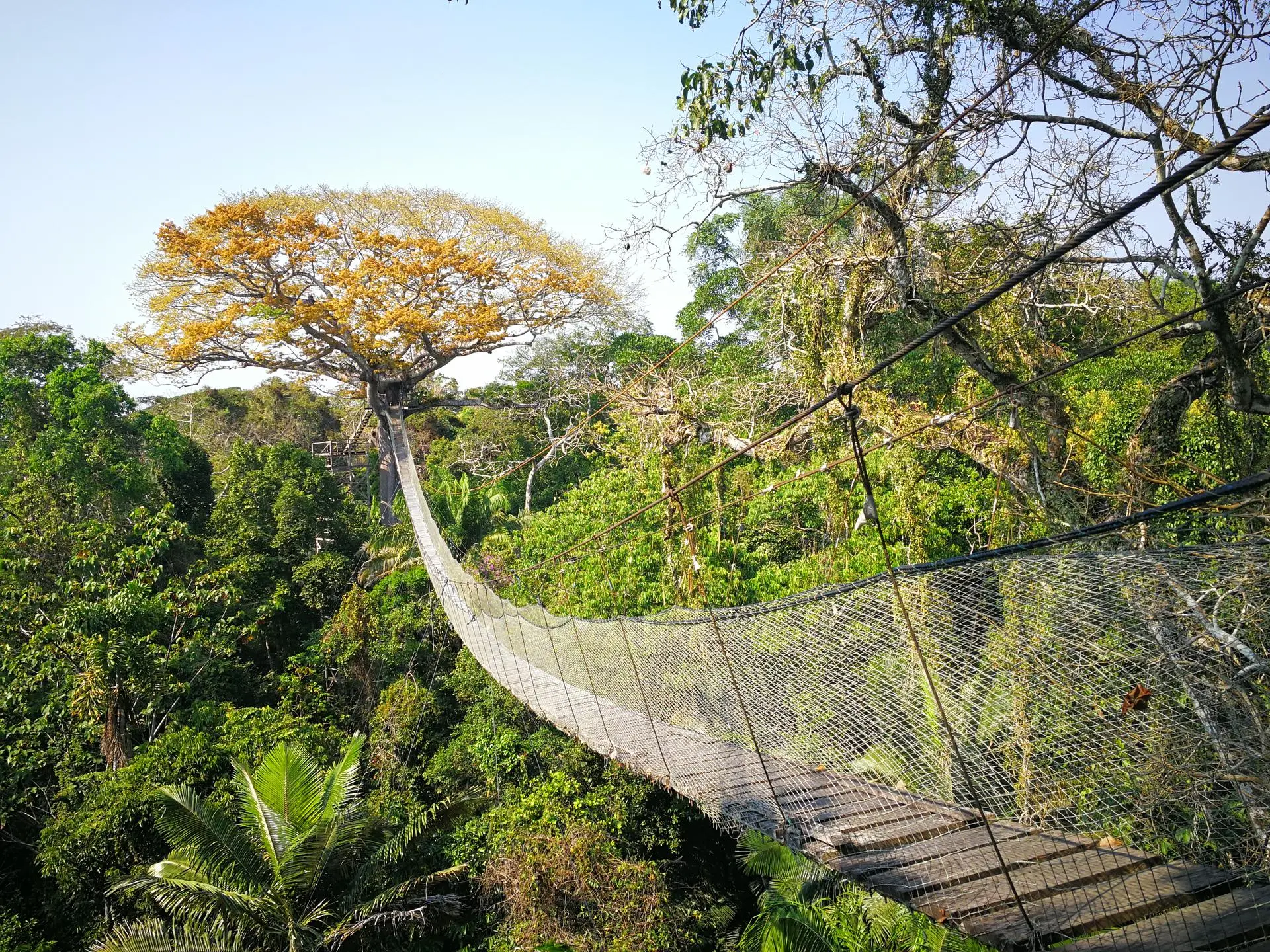 Itinerarios en Puerto Maldonado, Madre de Dios - América del Sur - 4
