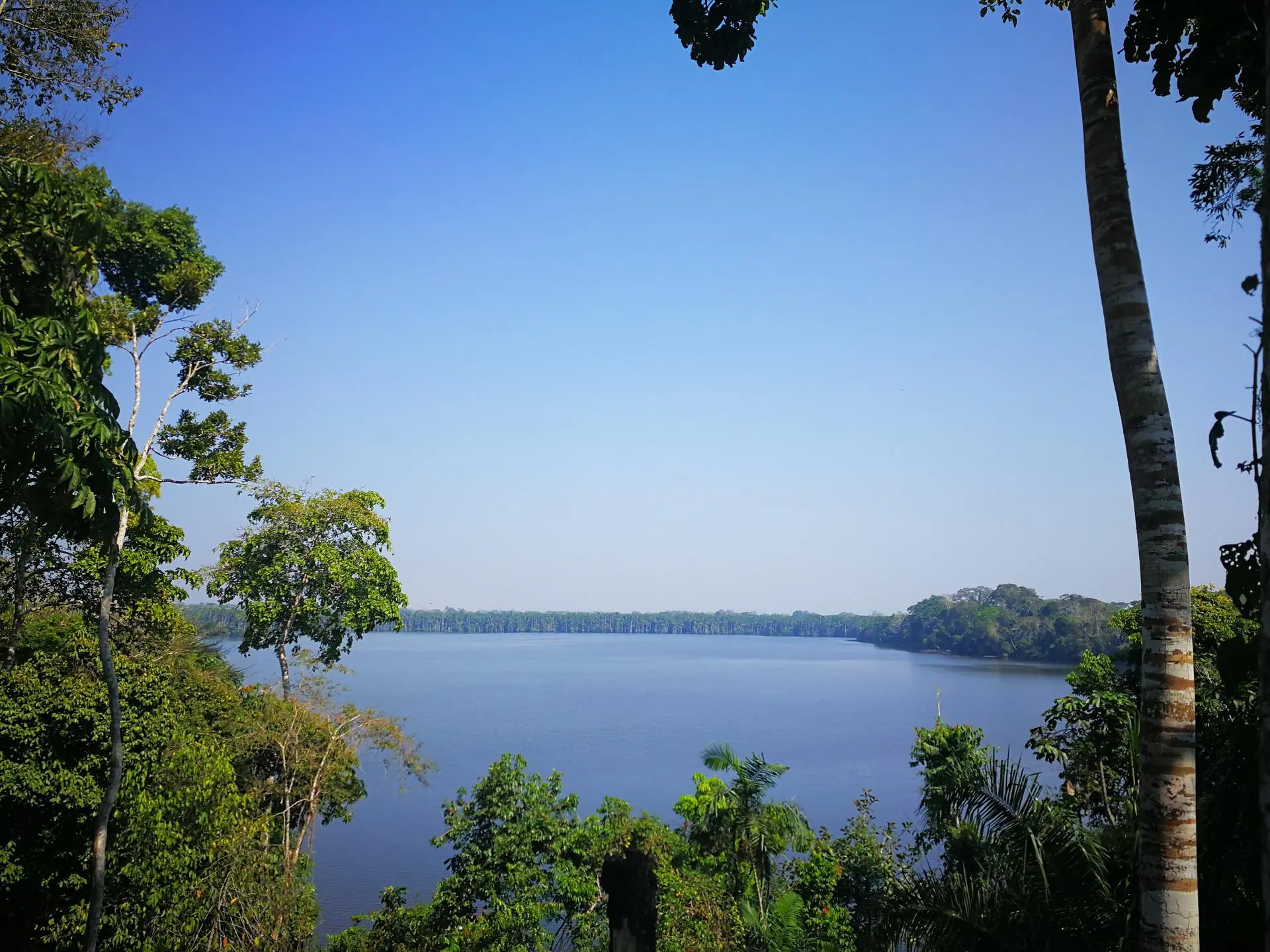 Itinerarios en Puerto Maldonado, Madre de Dios - América del Sur - 12