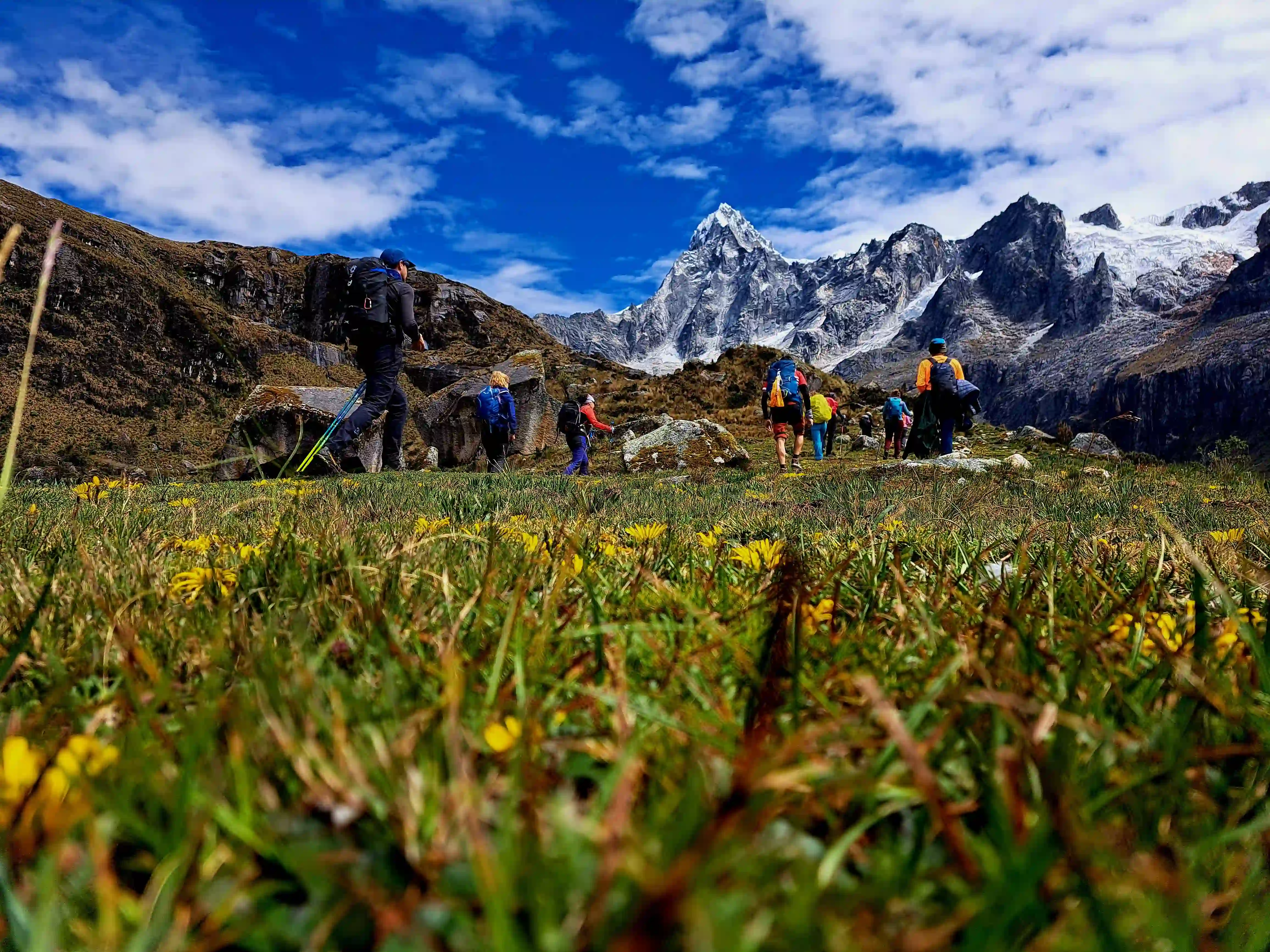 Los cedros alpamayo trekking standard - cordillera blanca 11 days / 10 nights - 1