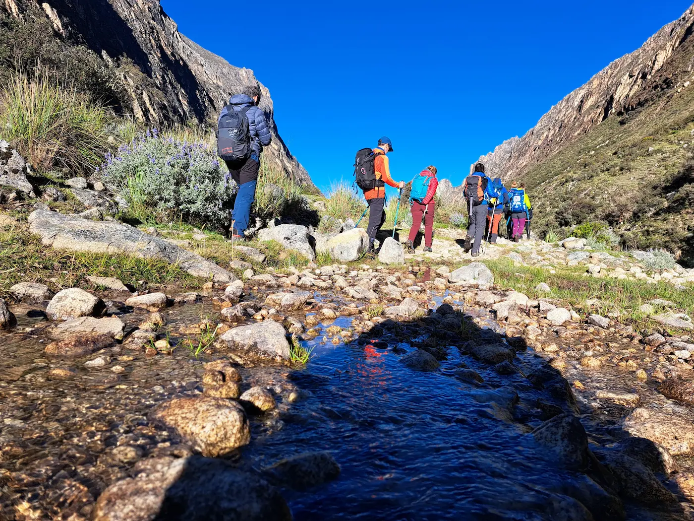 Los cedros alpamayo trekking standard - cordillera blanca 11 days / 10 nights - 11