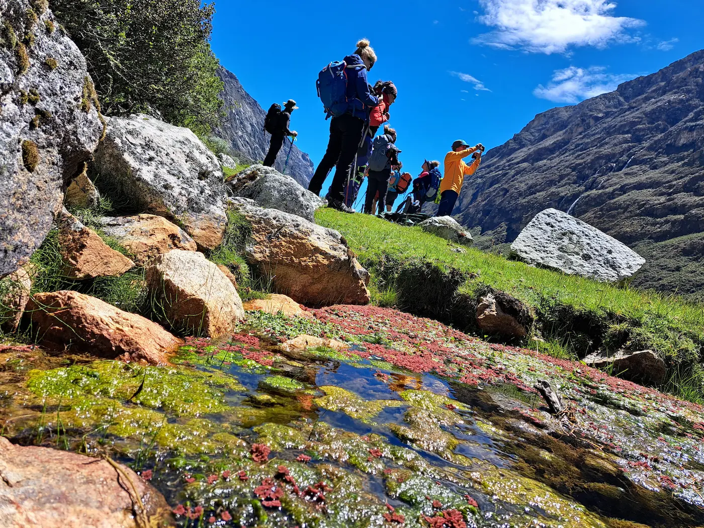 Trekking santa cruz estandar - cordillera blanca 07 dias / 06 noches - 11