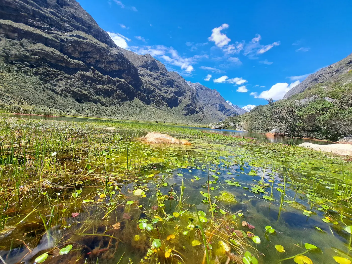 Trekking santa cruz estandar - cordillera blanca 07 dias / 06 noches - 12
